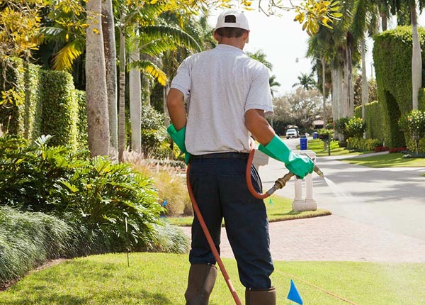 About Marquez TX Pest Control